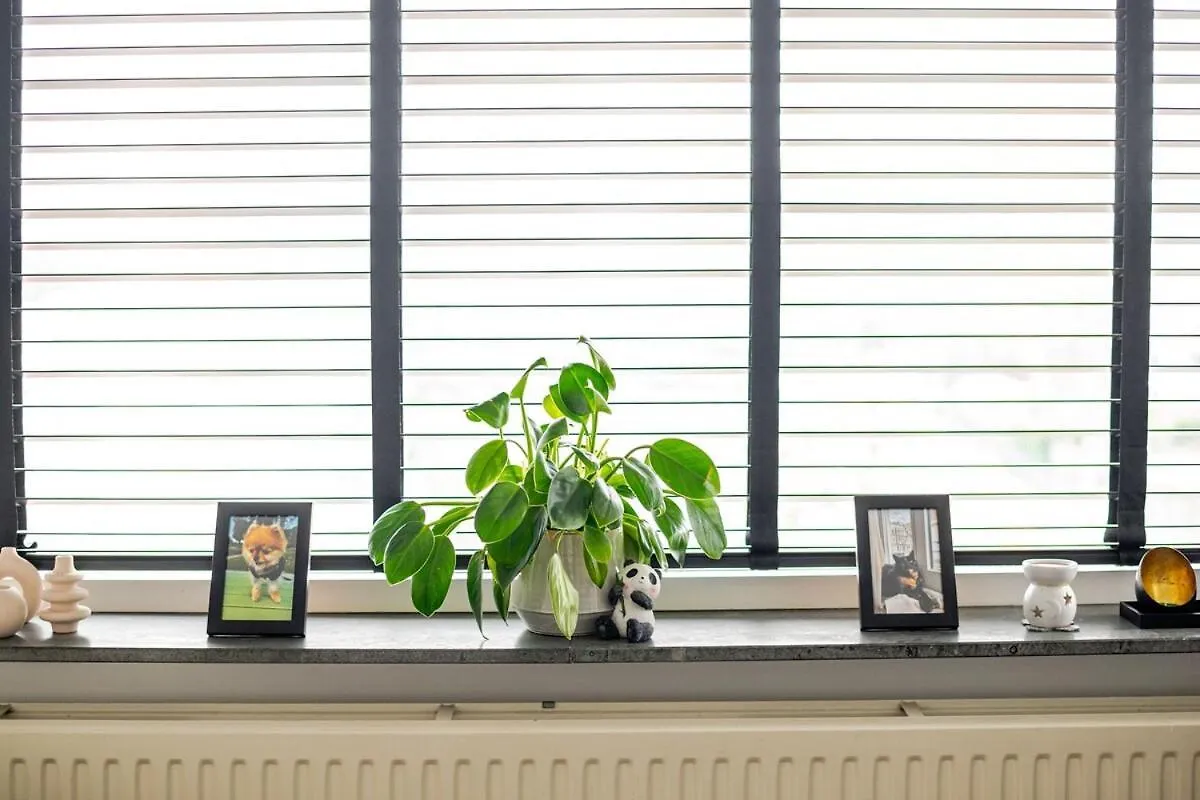 A Cosy Apartment Rotterdam